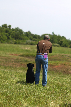 rsretrievers's profile picture. Razor Sharp Retrievers is a family owned and operated. Jody Ware is a Professional Dog Trainer who is here for all your dog training needs. Please contact Razor