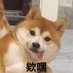 Fan Fan/阿凡 (@yasmin41199) Twitter profile photo Fan Fan/阿凡 (@yasmin41199) Twitter profile photo