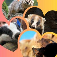 Badgers Daily (@badgersdaily_) 's Twitter Profile Photo Badgers Daily (@badgersdaily_) 's Twitter Profile Photo