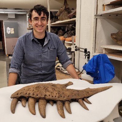 Vertebrate Paleontologist | Postdoctoral Scholar @ NC State/NC Museum of Natural Science | Intraspecific variation, taxonomy, systematics | Views mine | he/him