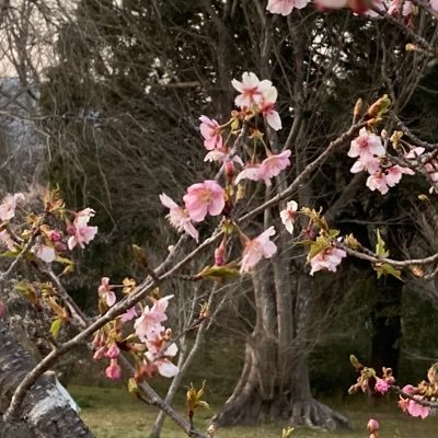 子持ちの腐女子です。当然20↑。育児の呟きの合間に、BL含めて雑多なことを呟きます。日本近現代文学をBL視点で見つめて、ブログで語りまくっています。川端康成先生「少年」ネタ多め。日本近代史も好きです。#名刺代わりの小説10選 を含めて詳しくはこちら→https://t.co/BCq0ZUy2A6