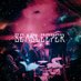 Sea Sleeper (@seasleeper) Twitter profile photo