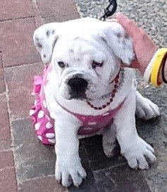 tatiana4zumba's profile picture. 