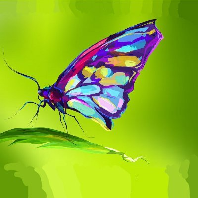 Rainbowさんのプロフィール画像