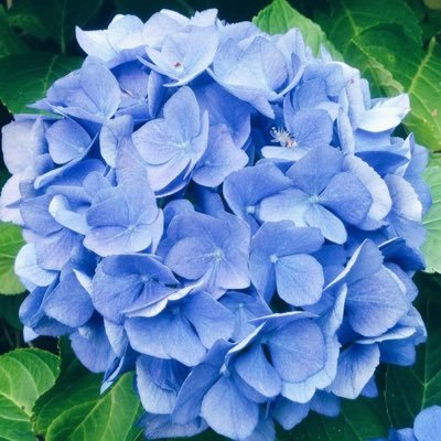 nadasAlqahtani1's profile picture. LANGUAGES & TRANSLATION STUDENT✨