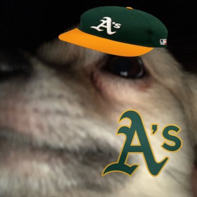 Iowa, raiders, A’s #FisherOut #RootedInOakland #SellTheTeam