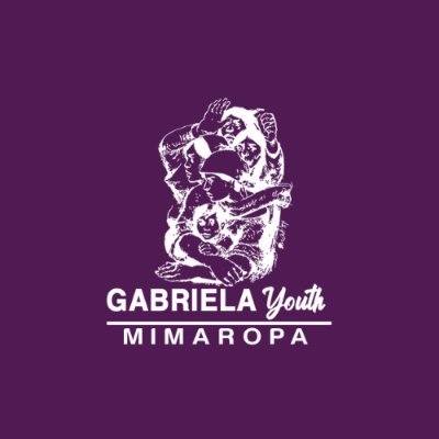 Youth Arm of GABRIELA in Region IV-B. Join in the struggle for liberation!