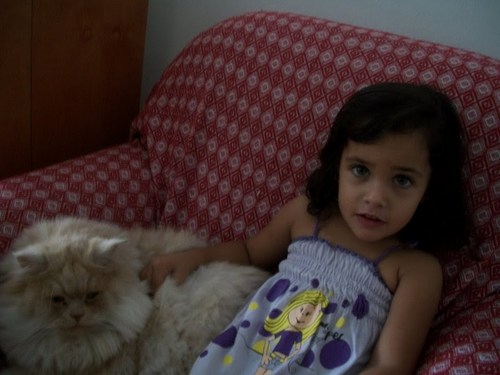 eu sou uma meninha muito legal e gostaria que vcs to twitter me seguise para toda ves ter algem para conversar