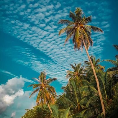 Find your paradise!🌴
The most wonderful destinations in the world!🌍