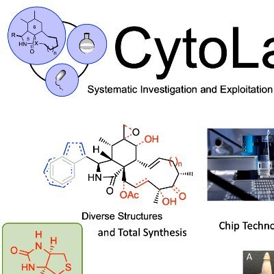 A DFG Funded Research Unit focussed on all aspects of Cytochalasans