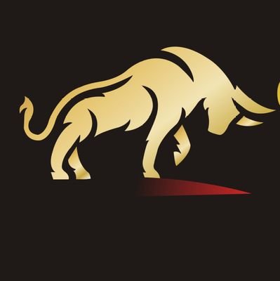 goldenbull0's profile picture. A Unit of Swarnim Bharat. 
We Are Manufacturer, and Assamble Electronic Led TV,
In Textile Bagru Print Shirts, T-shirt, Bagru Print Kurtis ! For Holsale DM