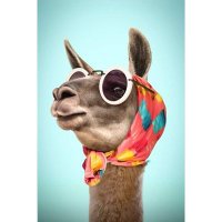 Aya Al-Ashmawi (@ayaal3shmawi) Twitter profile photo