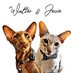 Walter.&.Jessie.Oriental 🐒🐯 (@jolenehunter) Twitter profile photo Walter.&.Jessie.Oriental 🐒🐯 (@jolenehunter) Twitter profile photo