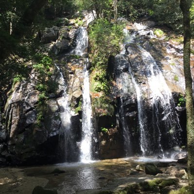 川の旅人　フジタカヌー400スペリオのりです。
グラディウス400ものってますます。
KONAの山チャリものってます。
MINIDS乗りの妻がいます。
911turboS乗りの父がいます。
私の乗り物はしょぼいですね。