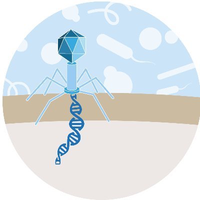 New Concepts in Prokaryotic Virus-Host Interaction Profile