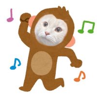 どんぐり隊長ぴぴ (@pipichqn_) 's Twitter Profile Photo