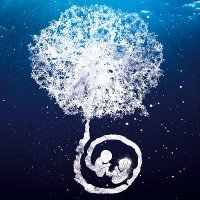 The Paradox Twin (@theparadoxtwin_) 's Twitter Profile