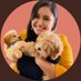 Mishel (@mishgome) Twitter profile photo Mishel (@mishgome) Twitter profile photo