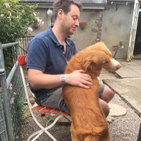 Stefan (@drstefan33) 's Twitter Profile