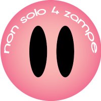 nonsolo4zampe(@nonsolo4zampe) 's Twitter Profile Photo