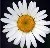 I believe that my life's gonna see the love I give return to me. - Wheel by John Mayer
