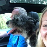 Paul Bray (@psbray) 's Twitter Profile