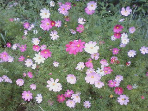 dbwodyd555's profile picture. 건강한 지구를 만들어가요