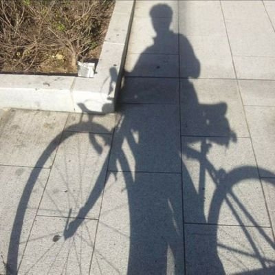 港のヨーコ@喘息はうつりませんのプロフィール写真