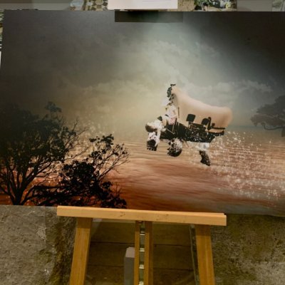 ConcettaRusso4's profile picture. Non si smette mai di imparare.