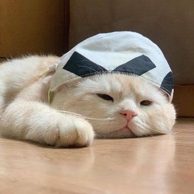 BaeNarissara's profile picture. 