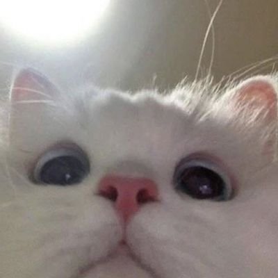 withhji's profile picture. she/her🌻 who likes sunflowers Lzen🤍ini akun wts/wtb juga ok 👍