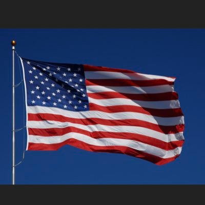 lizserialc's profile picture. Let Freedom ring. Debate hypocrisy & disinformation