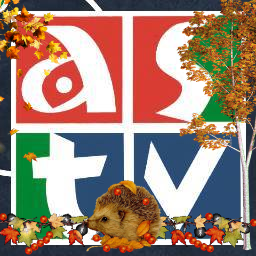 tvlocale_astv's profile picture. 