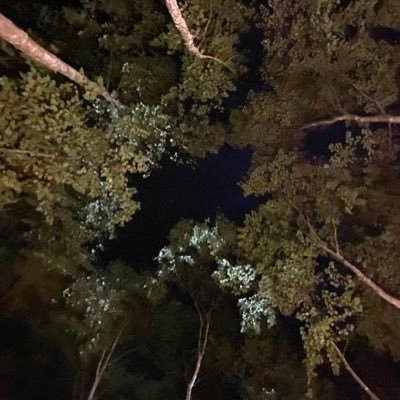 l_spal2's profile picture. 初めまして! 北海道ですよ! よろしくお願いします。