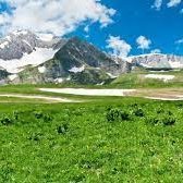 TioraTaiva1980's profile picture. 