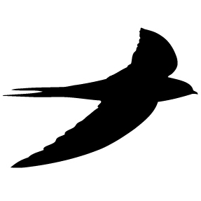 swiftmfg Profile Picture