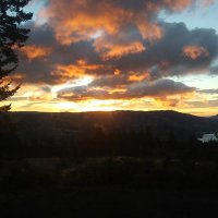 rain_forest_ dweller(@Rangerintherain) 's Twitter Profile Photo rain_forest_ dweller(@Rangerintherain) 's Twitter Profile Photo