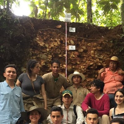 Docente en Facultad de Ingeniería de @UNALOficial. Ingeniero agrícola, MSc Geomática. PhD(e) en Ciencias Agrarias.