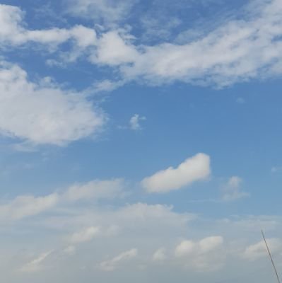 CHOIHAK3's profile picture. akun ke 2