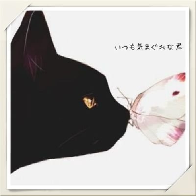 MeseMoa.❣️MissMoa. ❀.(*´▽`*)❀.
🐰最推し🌸/とみ煎.とみ白.りらぶ.クソゲルが特に好き🤩/人見知りだけど慣れると喋る/仕事多忙な時は低浮上気味/誤字多め/TL追えられない/next⇒ (予定)9月26.28日、10月11.12.19日、11月15.16.29.30日