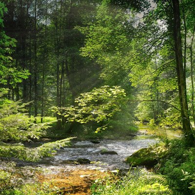 Soundsforsleep2's profile picture. Bad engineer