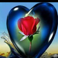 MALTEPELİ MASÖR (@34rakipsiz) 's Twitter Profile