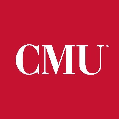 CMU_DEI Profile Picture