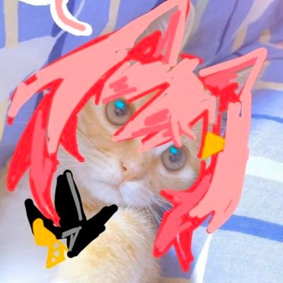 oranjuさんのプロフィール画像