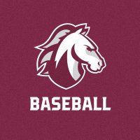 Evangel Baseball (@eu_baseball) 's Twitter Profile