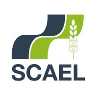 Groupe SCAEL(@GroupeSCAEL) 's Twitter Profile Photo