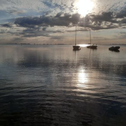 Manholetillo's profile picture. Apasionado de la bolsa, navegar, volar, el ajedrez y, sobretodo, de la libertad.