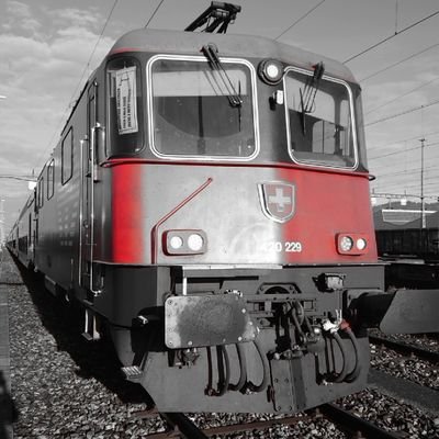 Lokführer bei der #SBB | 🚂 | Geocacher | #SEV LPV | Vizepräsident #LPV Brugg | @lpv_brugg | Glarner | 🇨🇭 | 🏳️🌈 | @TWeinlein 👨❤️👨 | mht: #_CH