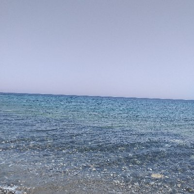 Dnenbir18549876's profile picture. 