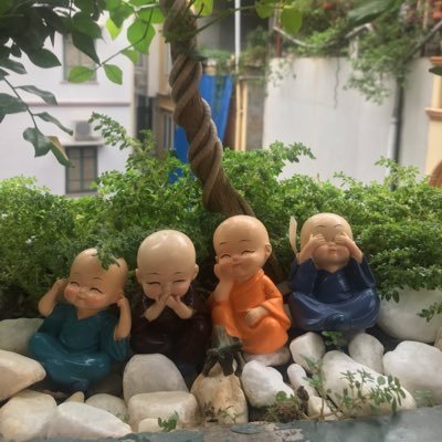 li_trng's profile picture. 